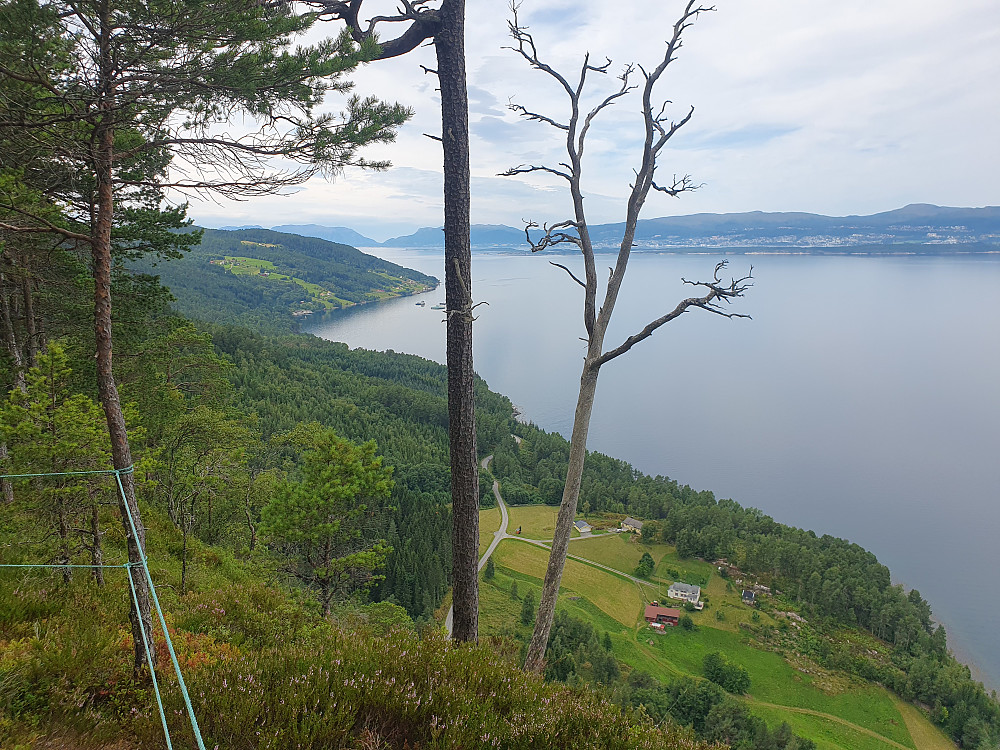 På utsiktspunktet (Stikk-ut) 