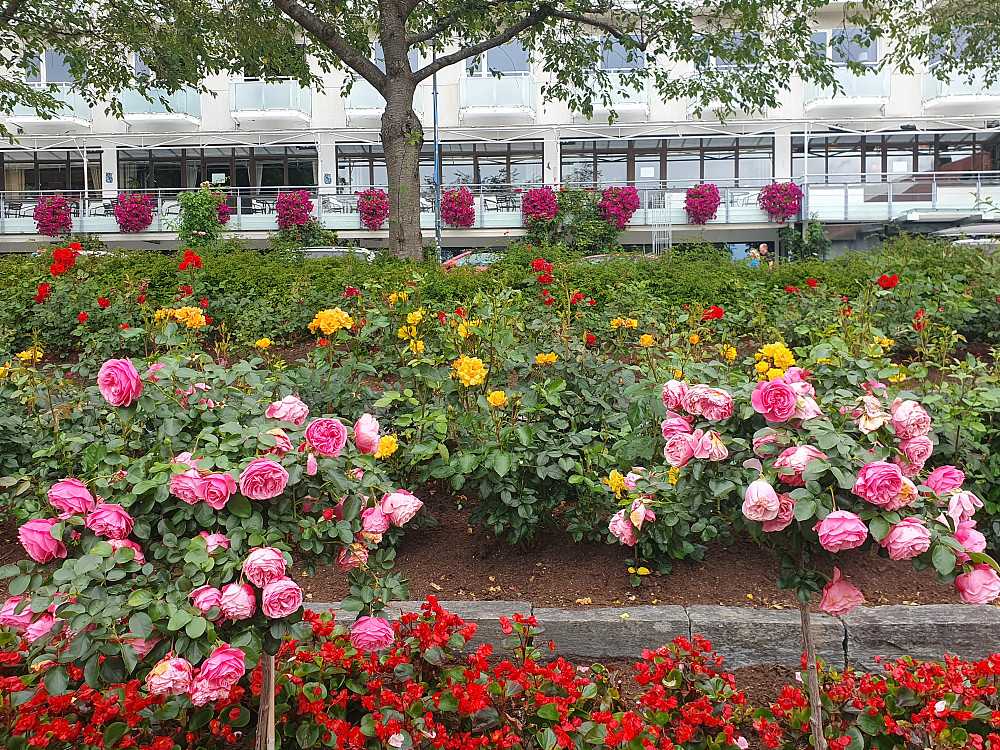 Alexandraparken