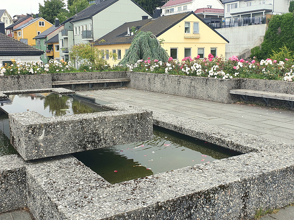 Rådhustaket