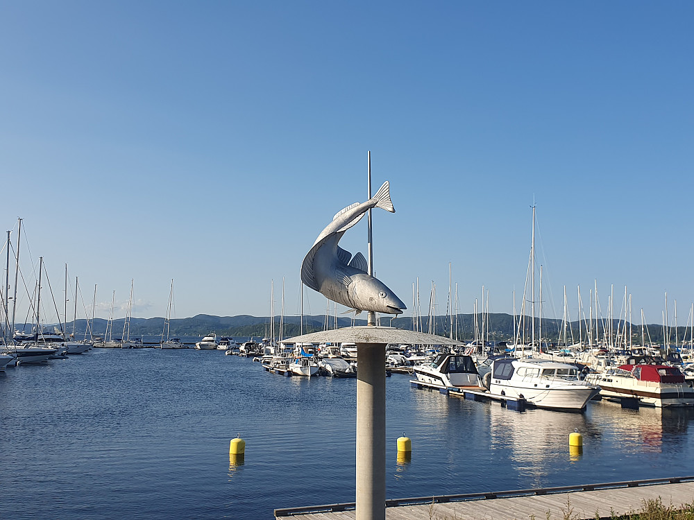 Fin marina