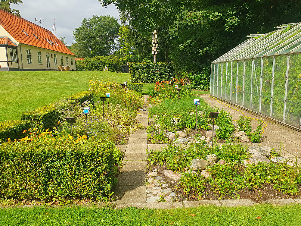 Fint på hotellet vårt (her spiselige planter/blomster)
