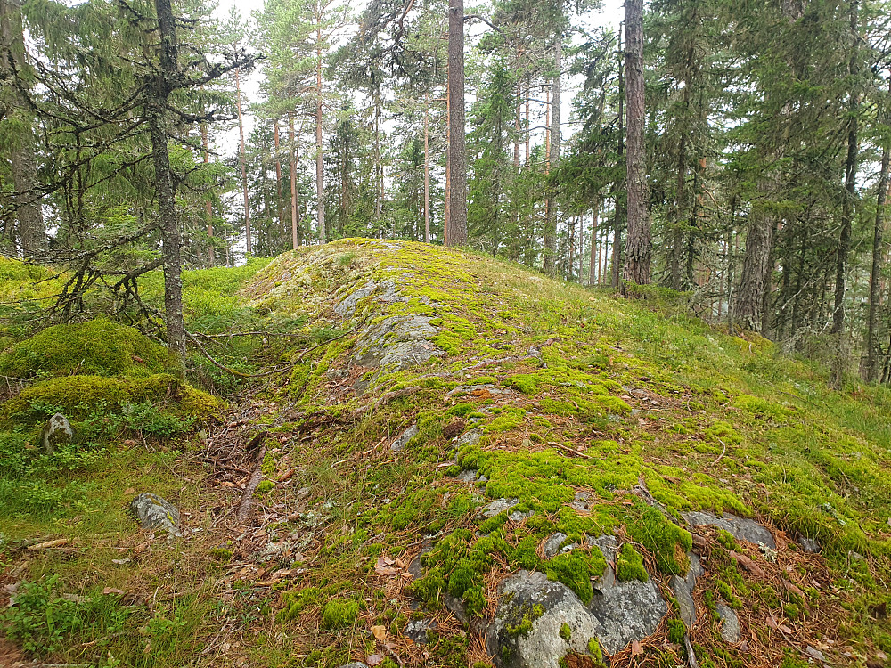 Rundhaugen