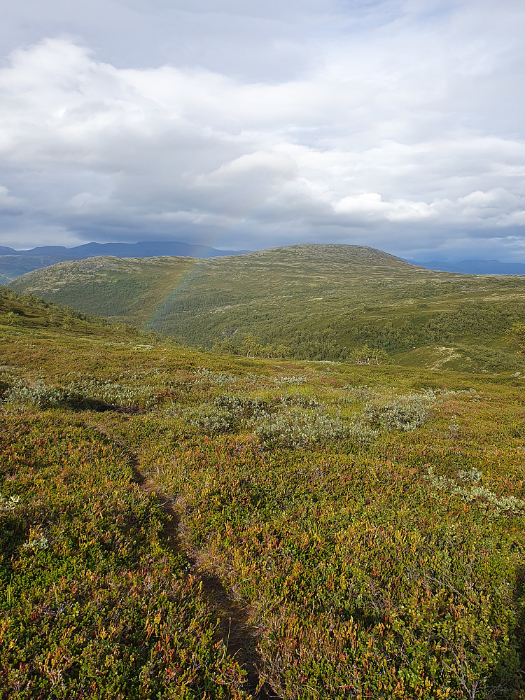 Brennhøe bak regnbuen, besteget i fjor