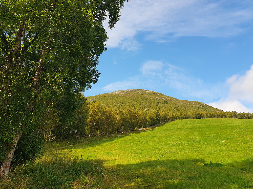 Rånåkollen 