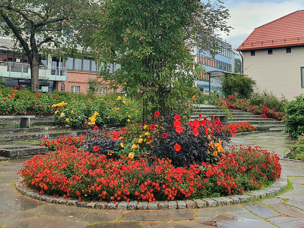 Alexandraparken 