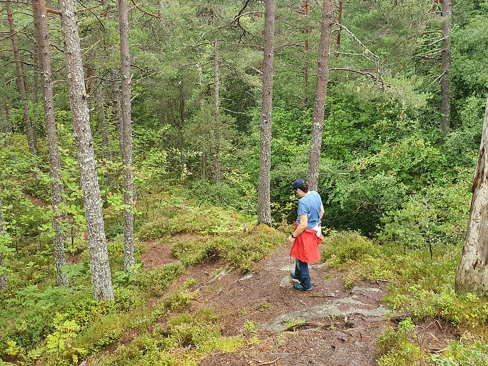 Ned fra Brattlihaugen 