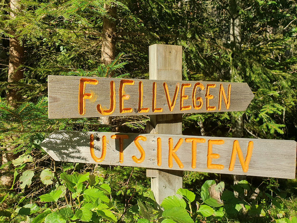Vi parkerte ved disse skiltene