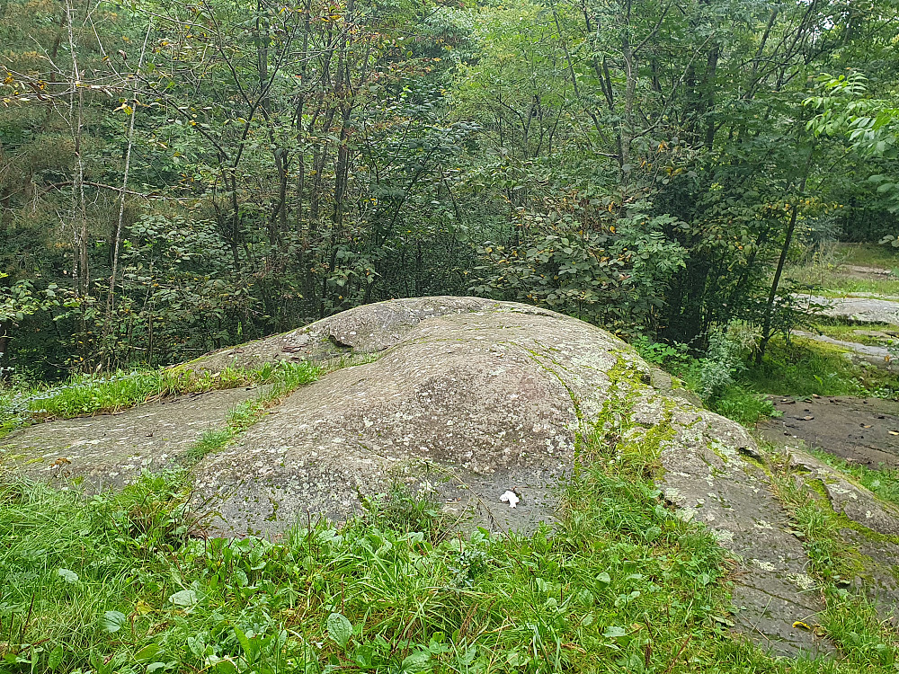 Tørtberg