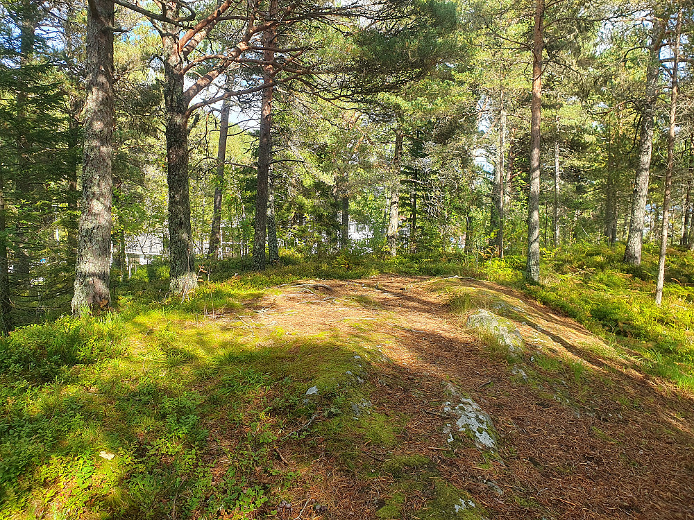 1: Sjølskotthaugen 