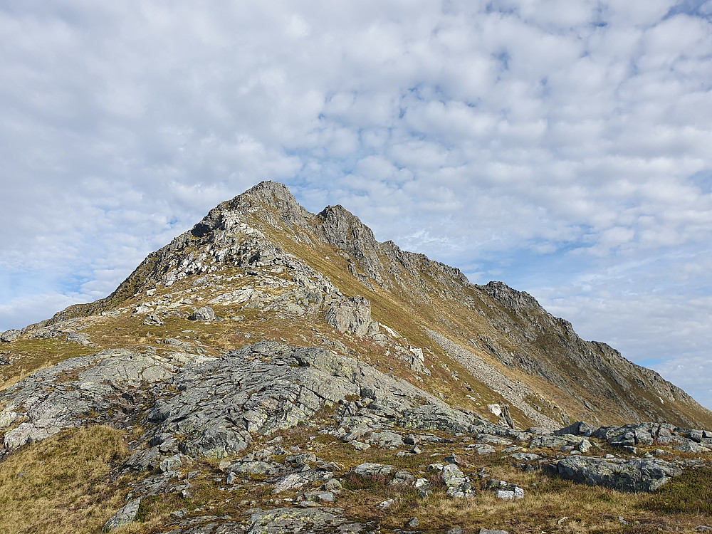 Bjørnen fra skaret mot Butippen