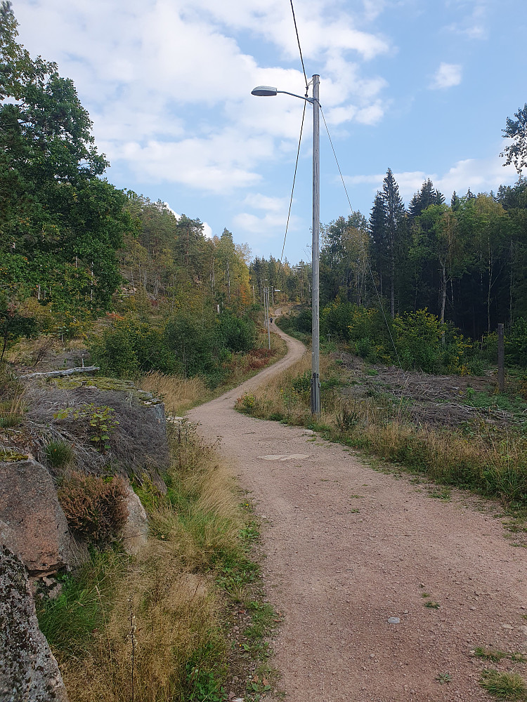 I lysløypa "Nordbykollen rundt"