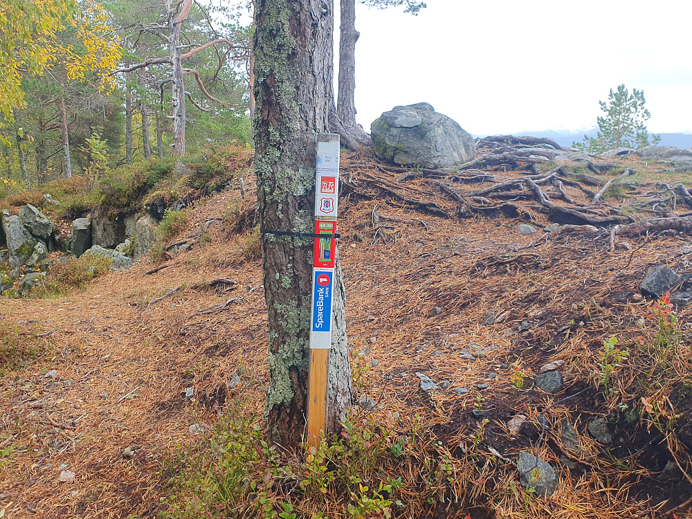 Stolpe på Brattlihaugen 