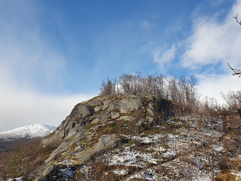 Nedre Liarberget 