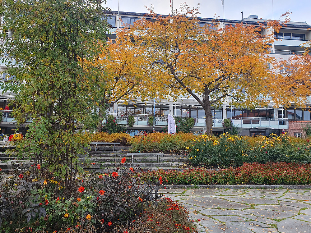 Alexandraparken 
