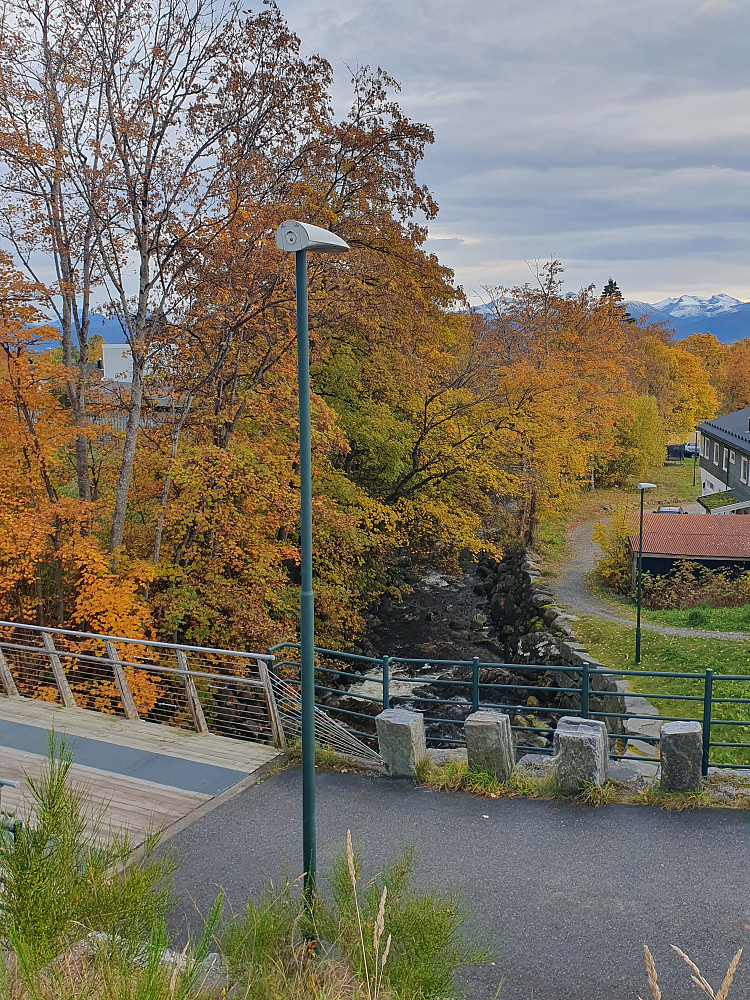 Moldeelva 