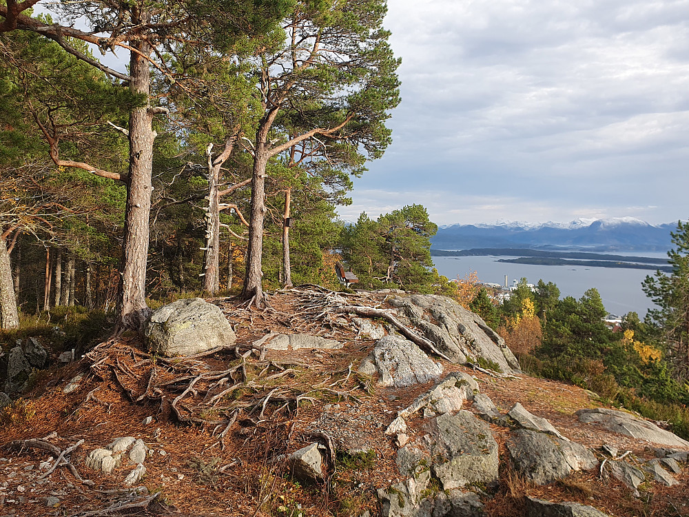 Brattlihaugen 