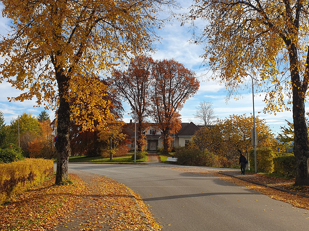 Moldegård 