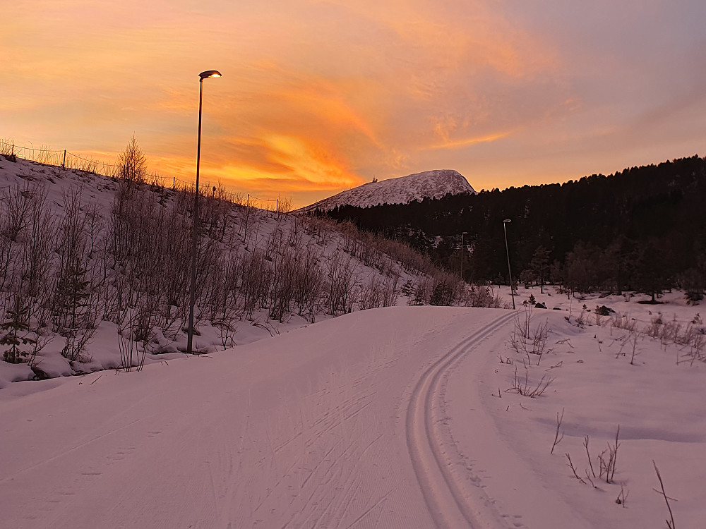 Mot Tusten 