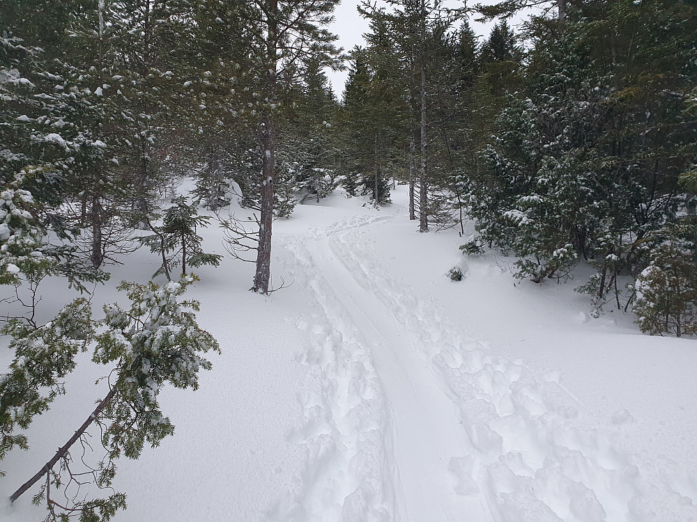 Randoløypa