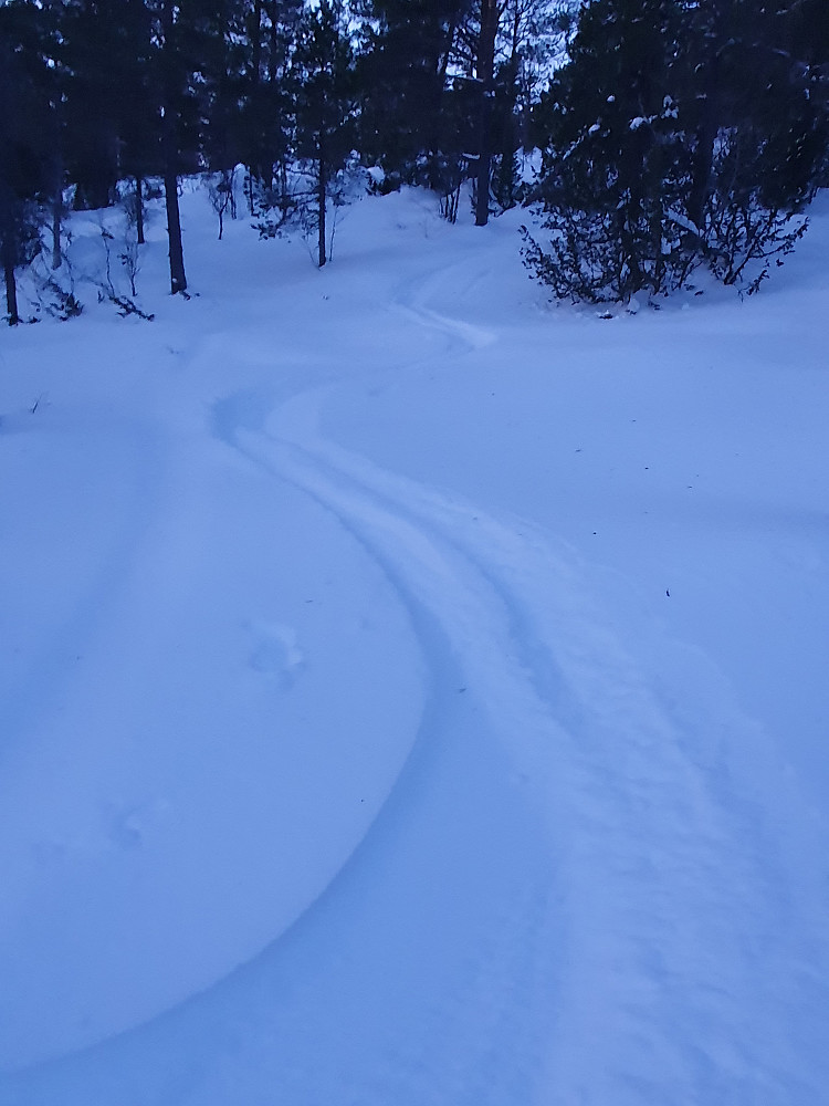 Deilig føre i skogen, vindpåvirket lenger oppe, men moro over alt 