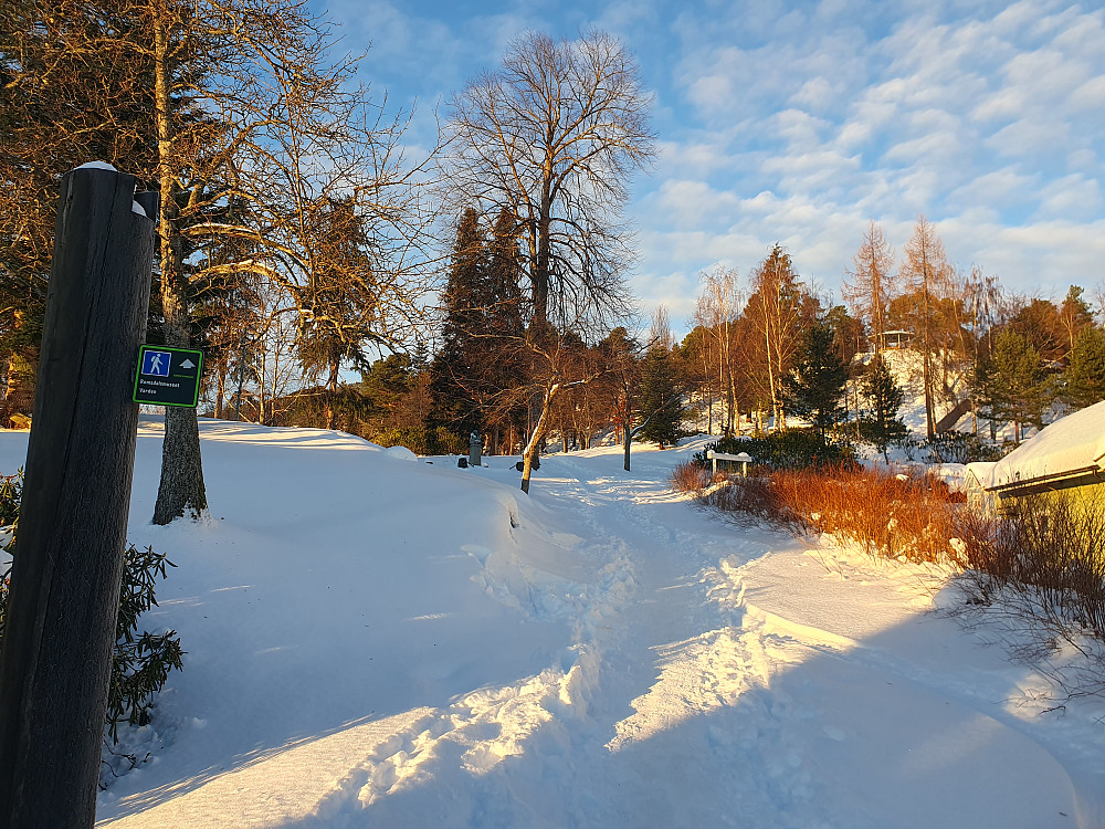 Inn i Reknesparken