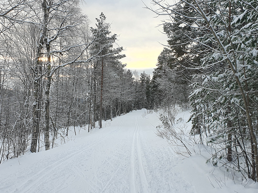 I Moldedalen 