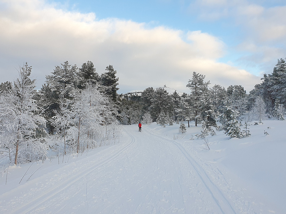 V/Øverlandsvatnet 