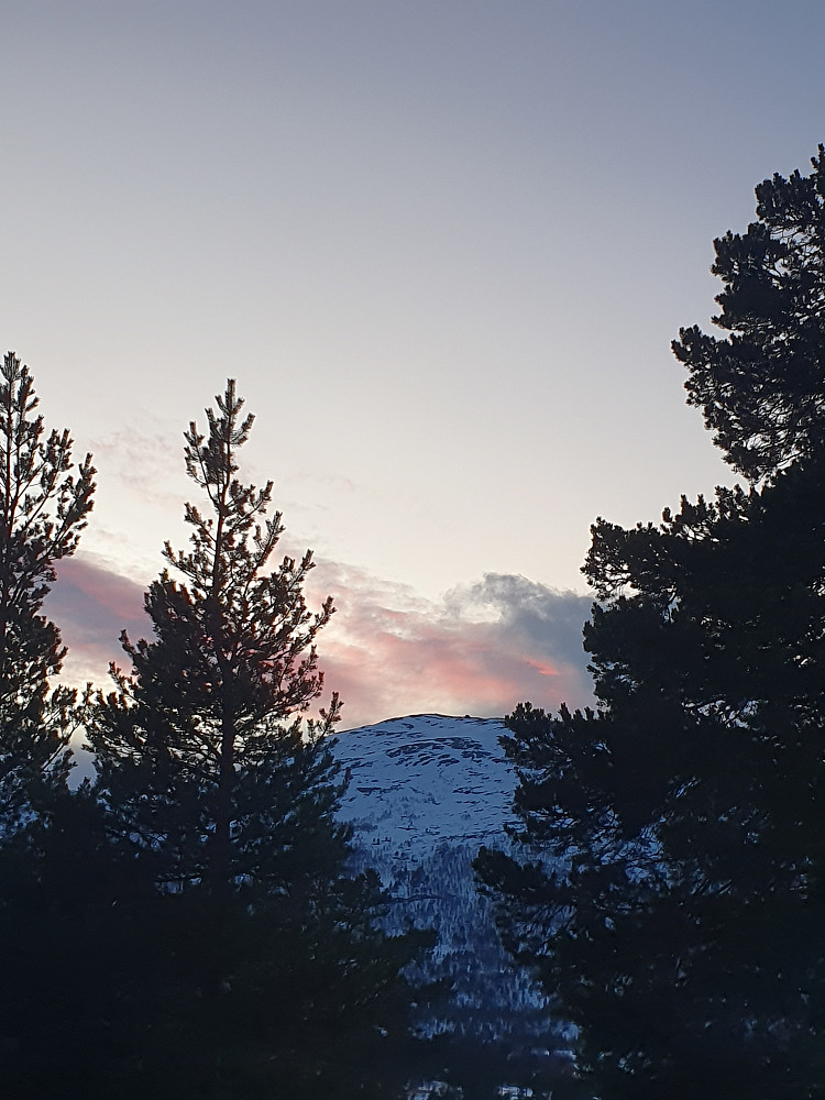 Rånåkollen
