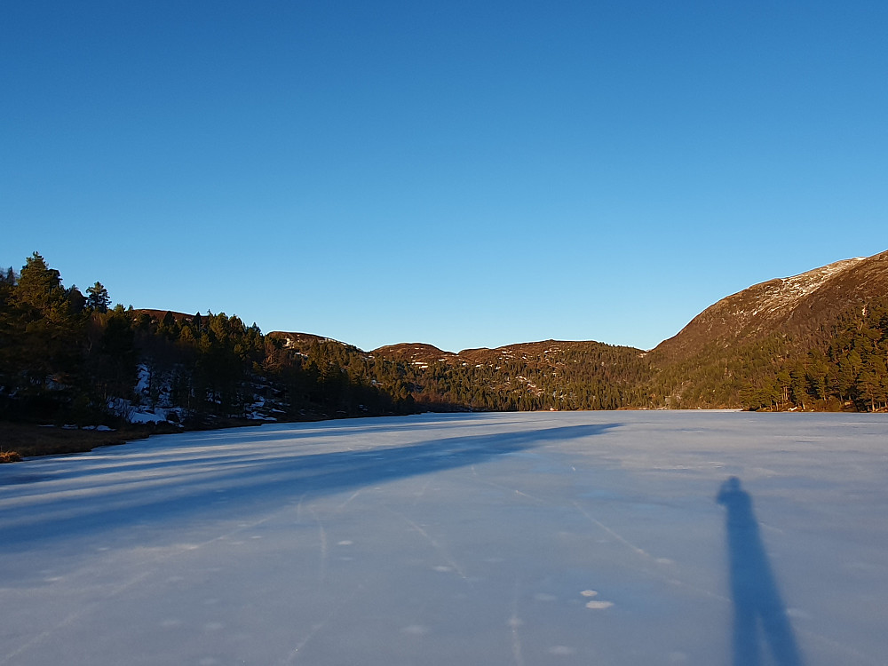 Bårdsdalsvatnet