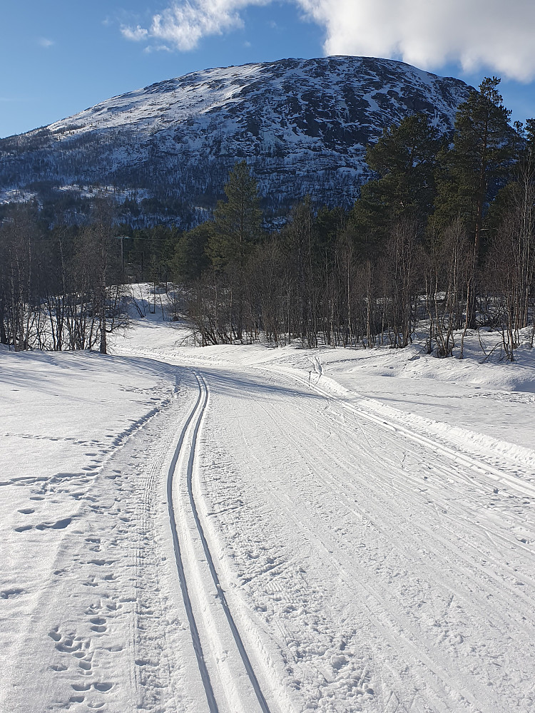 Baksiden av Rånåkollen (besteget før frokost)