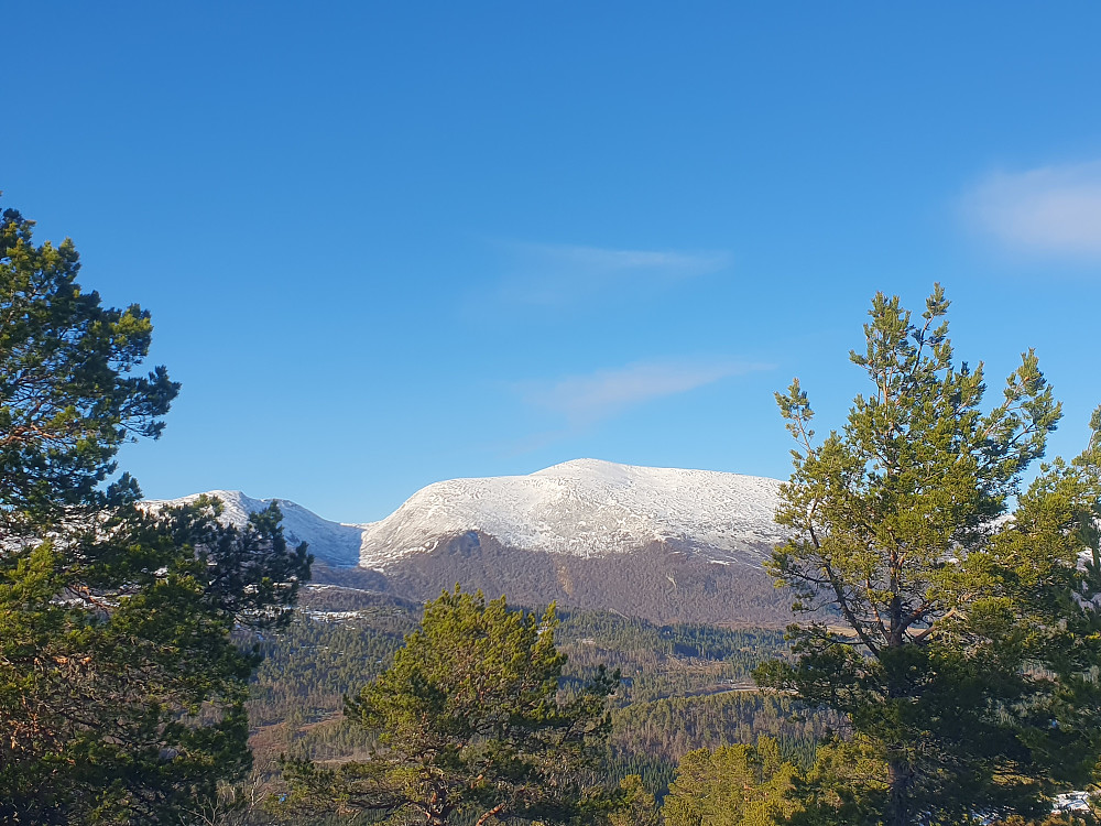 Urfjellet 
