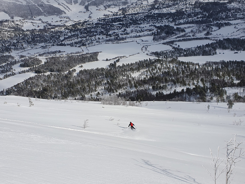 Arne i farta