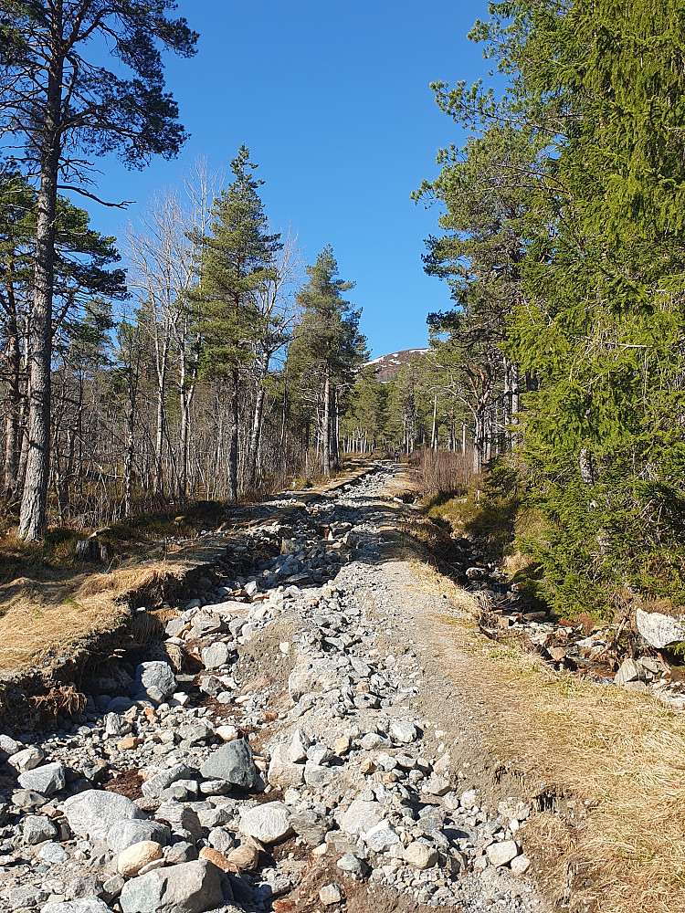 Den "atmosfæriske elva" har tatt godt for seg på Tustenvegen 