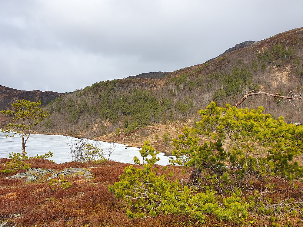 På Vasslihaugen 