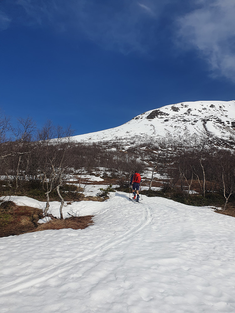Overraskende lite snø på Bøstølen, men etter 5 min gåing var det på med ski. "Her er det vanlig å gå på ski fra parkeringen på 17. mai" sa en eldre kar som kom ruslende etter turen. En merkelig vinter! 