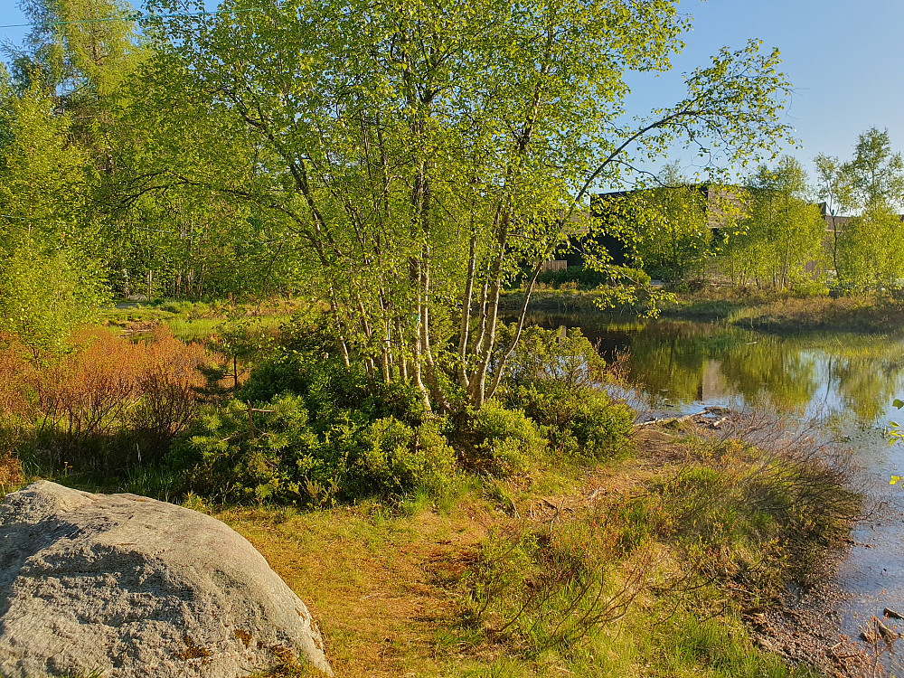 Sølvdammen