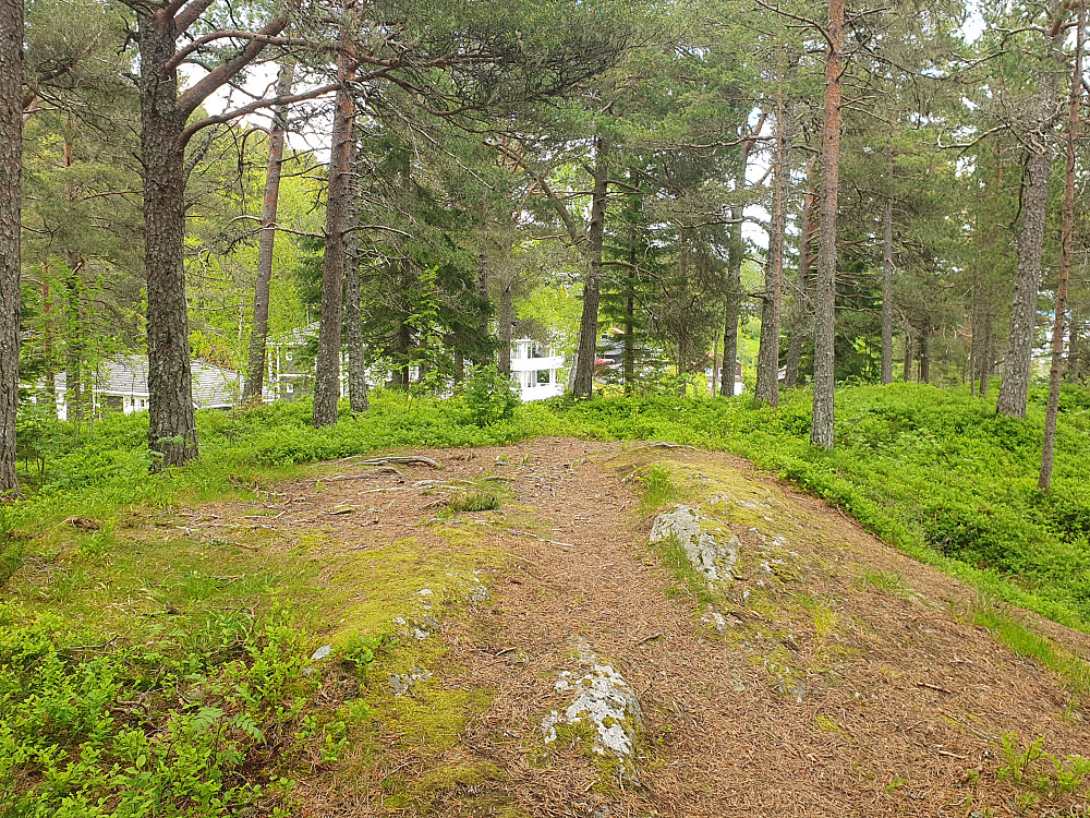 Sjølskotthaugen 