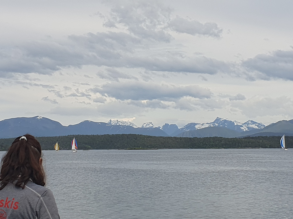 Regatta på fjorden 