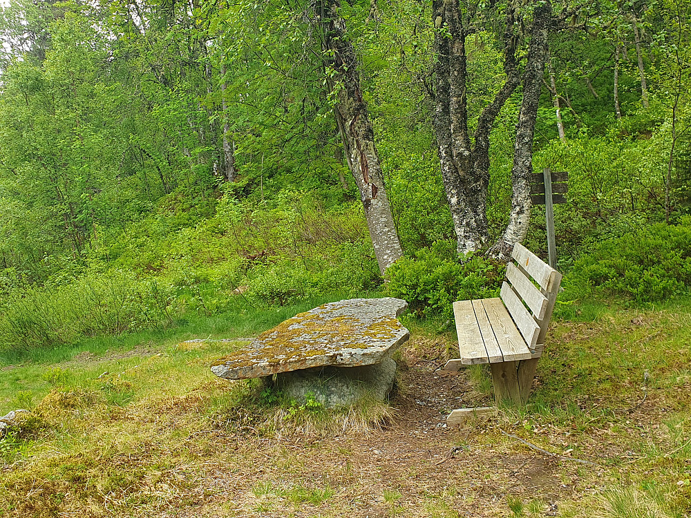 Fin gammel rasteplass ved stikk-ut i Moldedalen