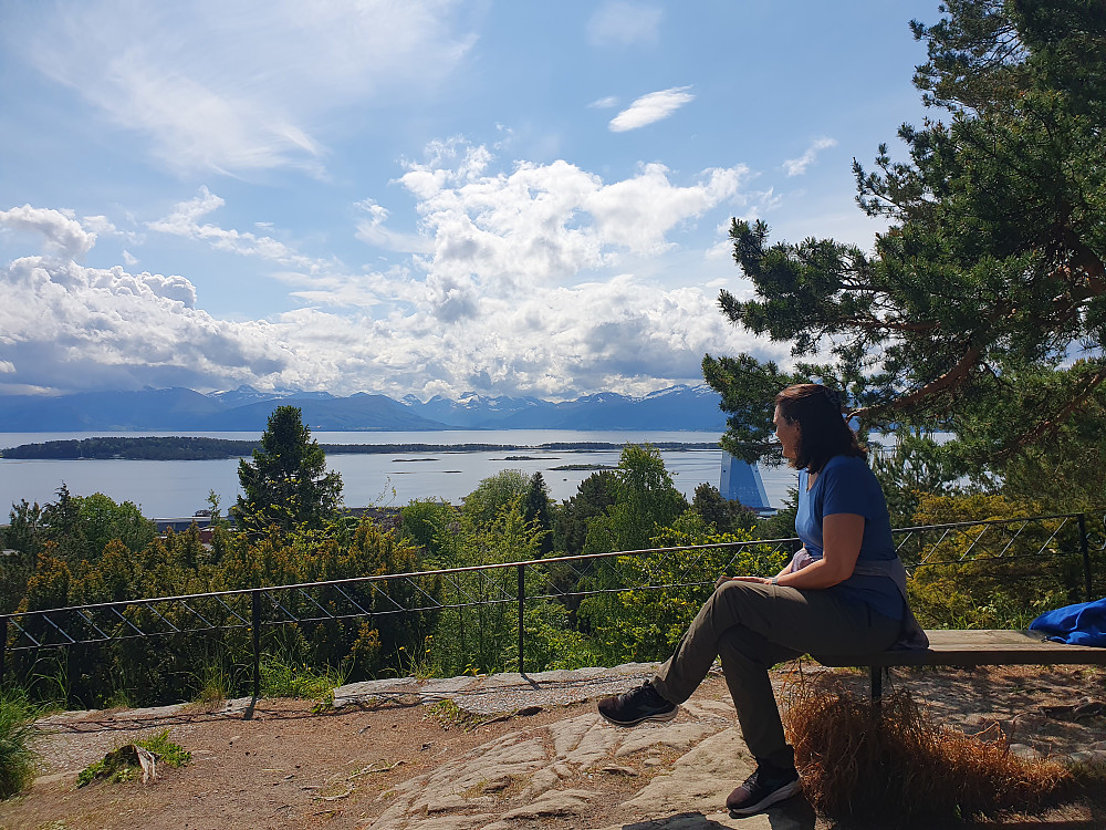 På Rekneshaugen 