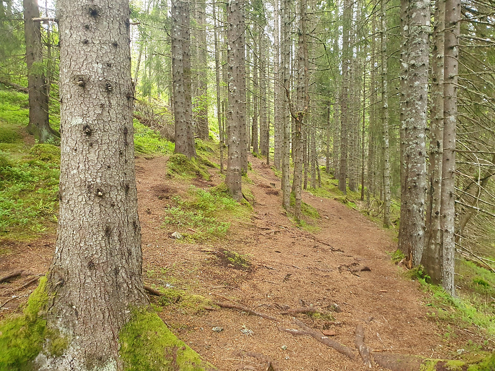 Granskog