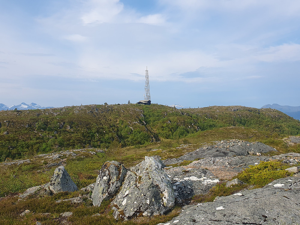 Sjennarheia sett fra Tjønndalsheia 