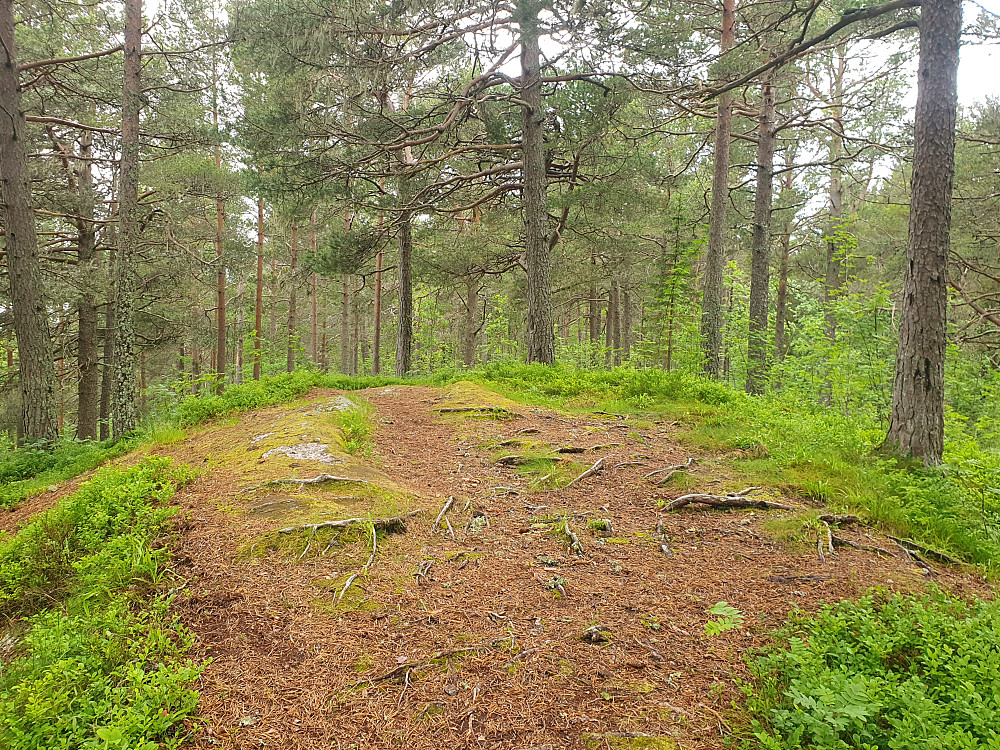 Sjølskotthaugen 