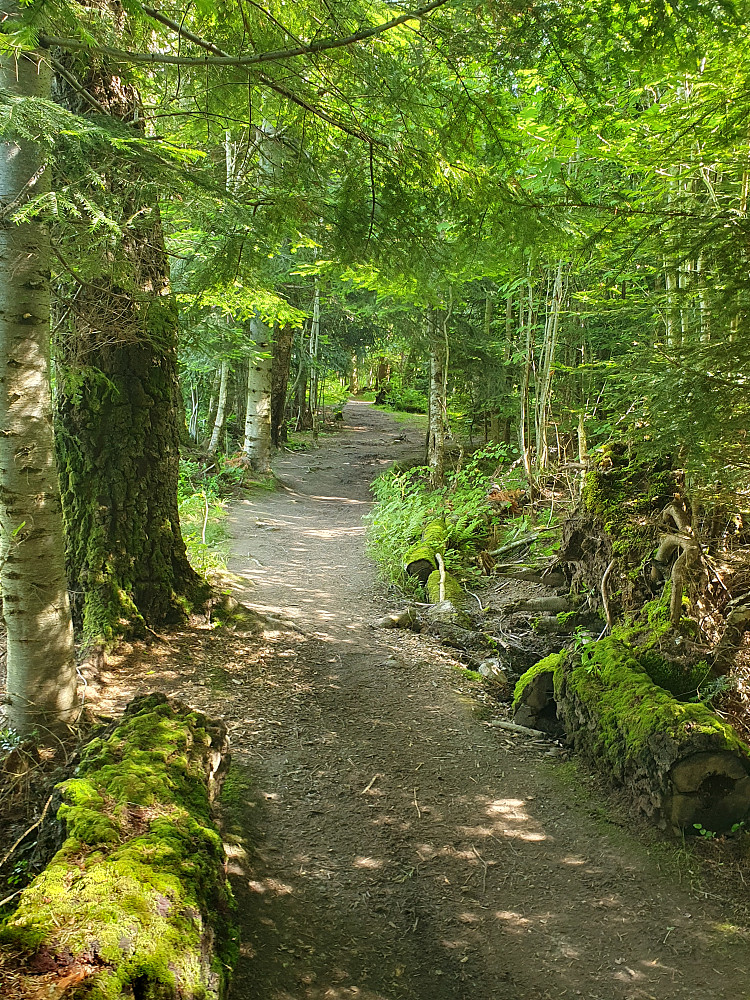 Retiroskogen 
