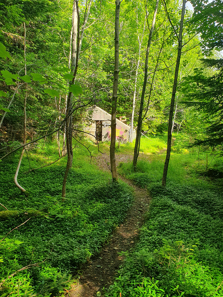Retiroskogen 