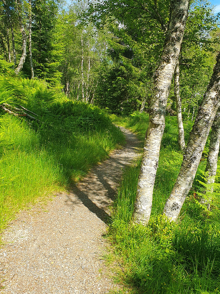 v/Fjellbrua