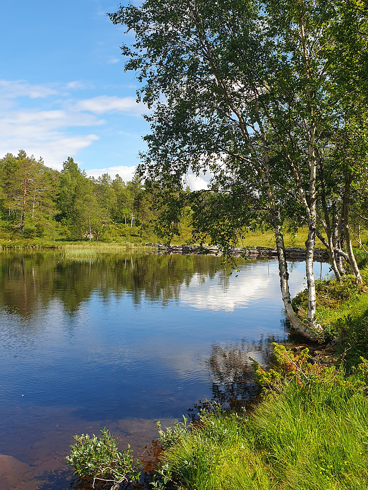 Øverlandsvatnet 