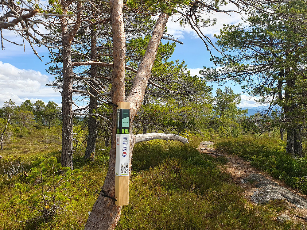 Stolpe på Eikremsnakken 