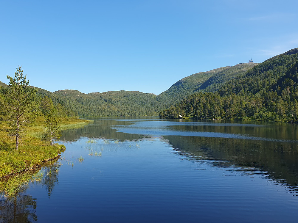 Bårdsdalsvatnet 