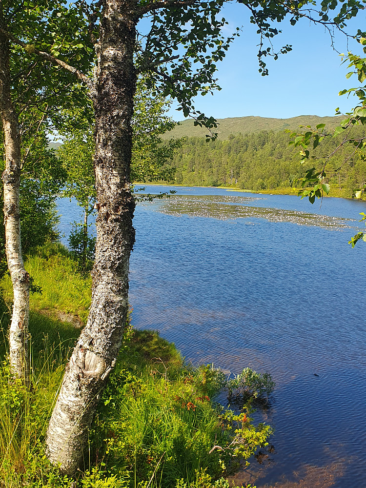 Øverlandsvatnet 